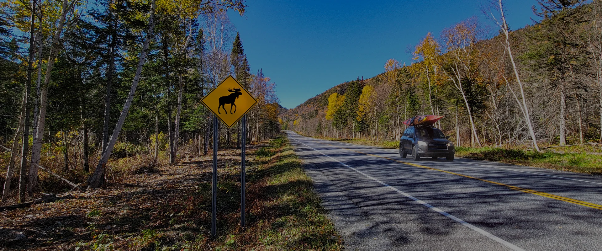 évolution du paysage automobile dans la province